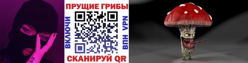 darknet какой сайт  Исилькуль  Псилоцибиновые грибы MAGIC MUSHROOMS 